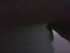 Steamy Encounter of a Thai Couple